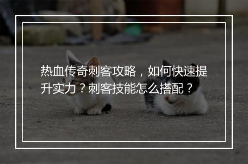 热血传奇刺客攻略，如何快速提升实力？刺客技能怎么搭配？