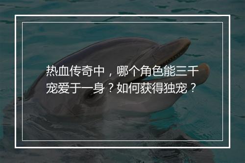 热血传奇中，哪个角色能三千宠爱于一身？如何获得独宠？