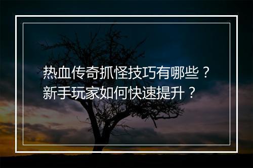 热血传奇抓怪技巧有哪些？新手玩家如何快速提升？