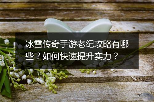 冰雪传奇手游老纪攻略有哪些？如何快速提升实力？
