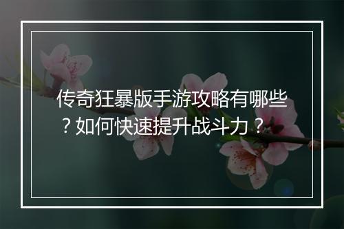 传奇狂暴版手游攻略有哪些？如何快速提升战斗力？
