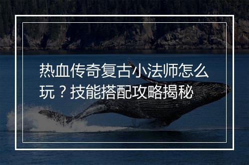 热血传奇复古小法师怎么玩？技能搭配攻略揭秘
