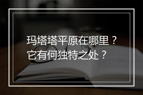 玛塔塔平原在哪里？它有何独特之处？