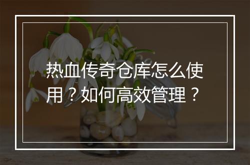 热血传奇仓库怎么使用？如何高效管理？