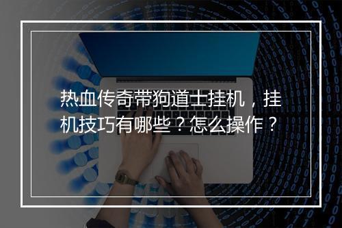 热血传奇带狗道士挂机，挂机技巧有哪些？怎么操作？