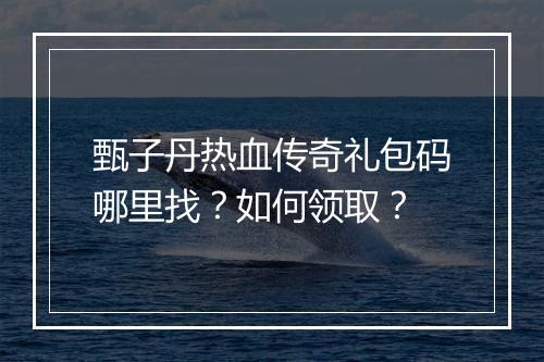 甄子丹热血传奇礼包码哪里找？如何领取？