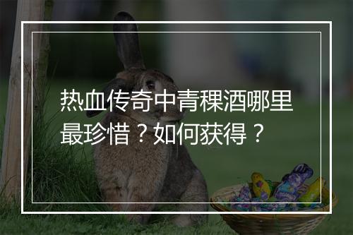 热血传奇中青稞酒哪里最珍惜？如何获得？