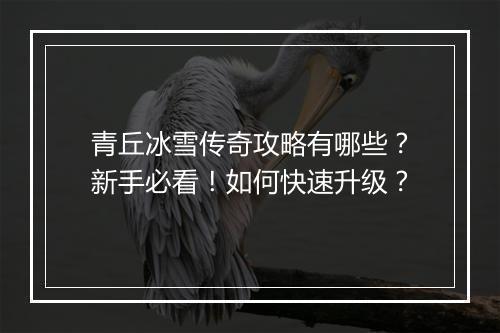 青丘冰雪传奇攻略有哪些？新手必看！如何快速升级？