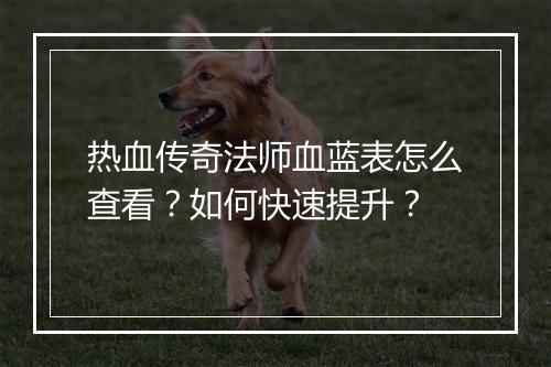 热血传奇法师血蓝表怎么查看？如何快速提升？