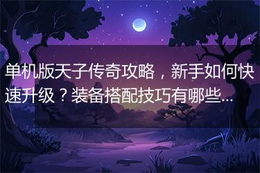 单机版天子传奇攻略，新手如何快速升级？装备搭配技巧有哪些？