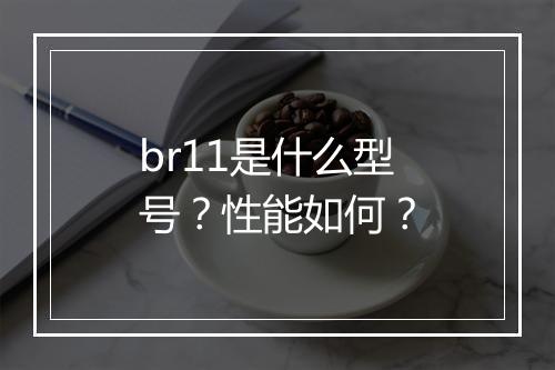 br11是什么型号？性能如何？