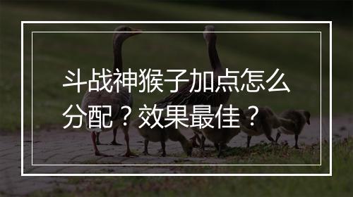 斗战神猴子加点怎么分配？效果最佳？