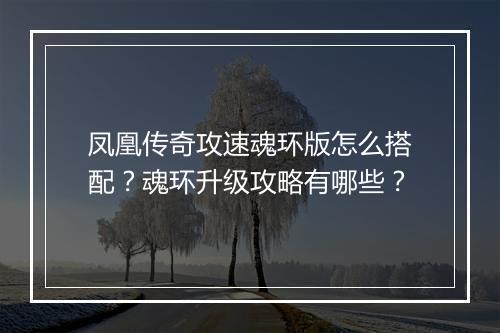 凤凰传奇攻速魂环版怎么搭配？魂环升级攻略有哪些？