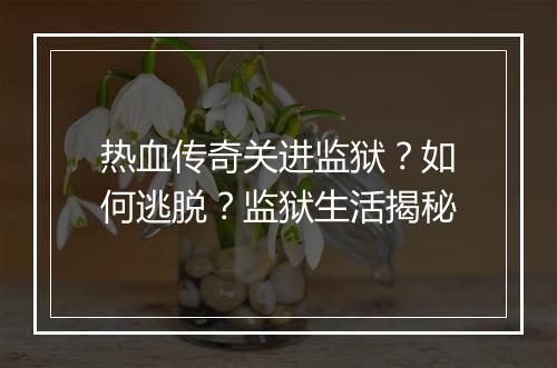 热血传奇关进监狱？如何逃脱？监狱生活揭秘