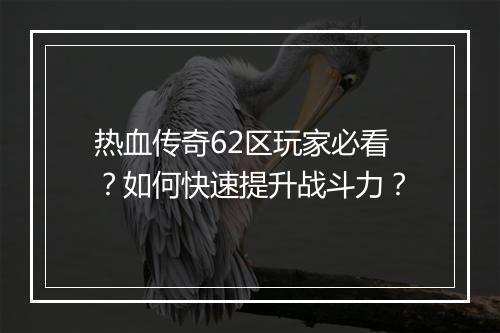 热血传奇62区玩家必看？如何快速提升战斗力？