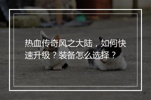 热血传奇风之大陆，如何快速升级？装备怎么选择？