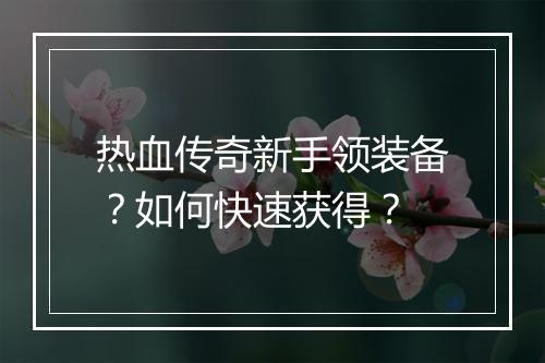 热血传奇新手领装备？如何快速获得？