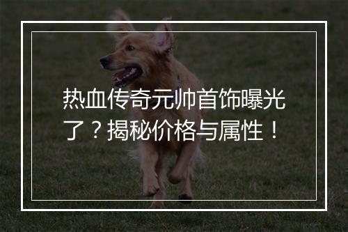 热血传奇元帅首饰曝光了？揭秘价格与属性！