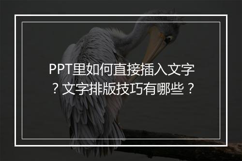 PPT里如何直接插入文字？文字排版技巧有哪些？