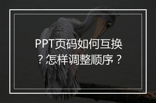 PPT页码如何互换？怎样调整顺序？