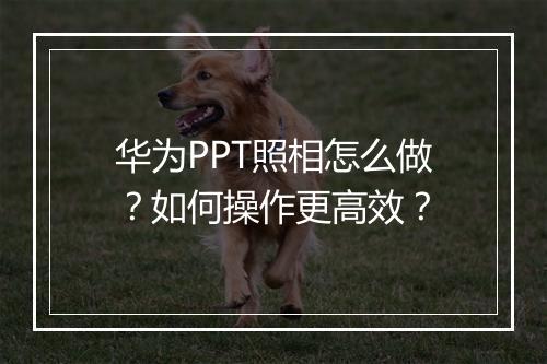 华为PPT照相怎么做？如何操作更高效？