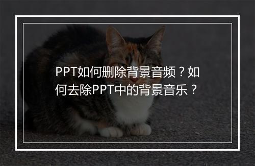 PPT如何删除背景音频？如何去除PPT中的背景音乐？
