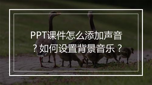 PPT课件怎么添加声音？如何设置背景音乐？