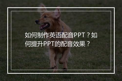 如何制作英语配音PPT？如何提升PPT的配音效果？