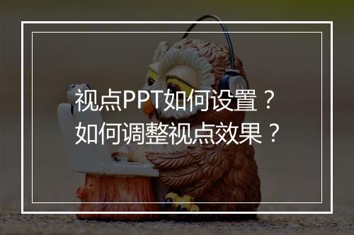 视点PPT如何设置？如何调整视点效果？