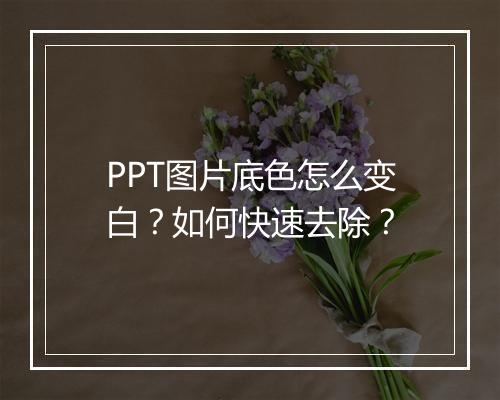 PPT图片底色怎么变白？如何快速去除？