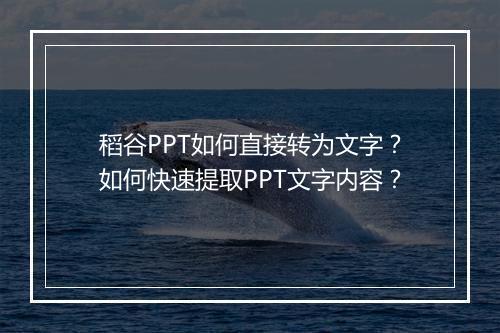 稻谷PPT如何直接转为文字？如何快速提取PPT文字内容？