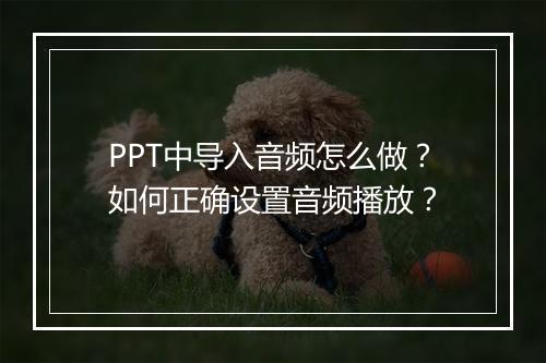 PPT中导入音频怎么做?如何正确设置音频播放?