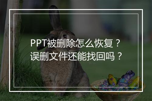 PPT被删除怎么恢复？误删文件还能找回吗？