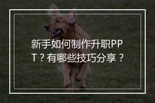 新手如何制作升职PPT？有哪些技巧分享？