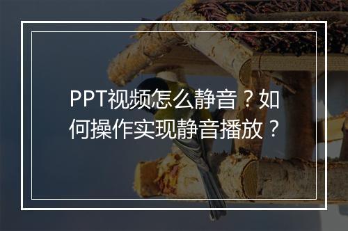 PPT视频怎么静音？如何操作实现静音播放？