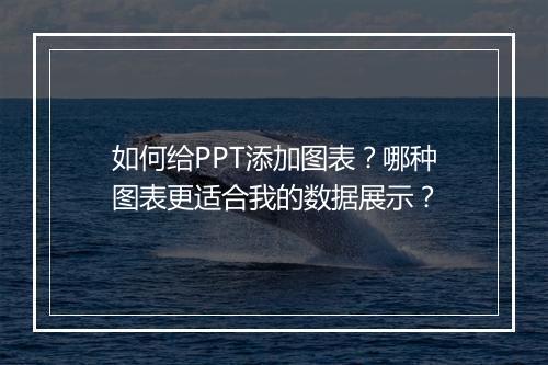 如何给PPT添加图表？哪种图表更适合我的数据展示？