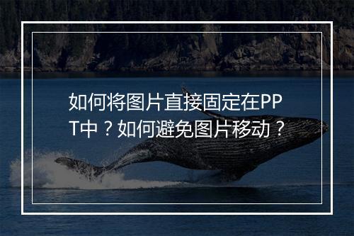 如何将图片直接固定在PPT中?如何避免图片移动?