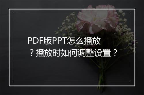 PDF版PPT怎么播放？播放时如何调整设置？