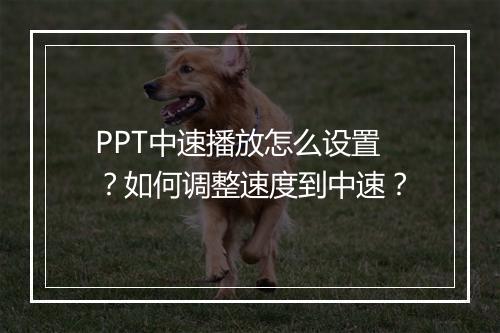 PPT中速播放怎么设置？如何调整速度到中速？