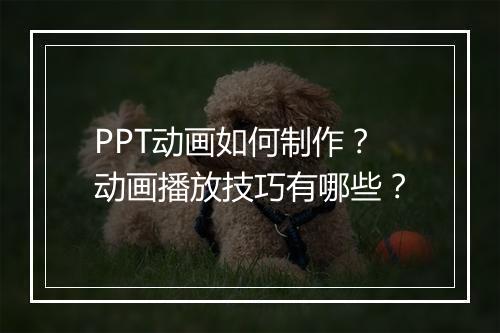 PPT动画如何制作？动画播放技巧有哪些？