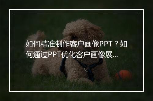 如何精准制作客户画像PPT?如何通过PPT优化客户画像展示?