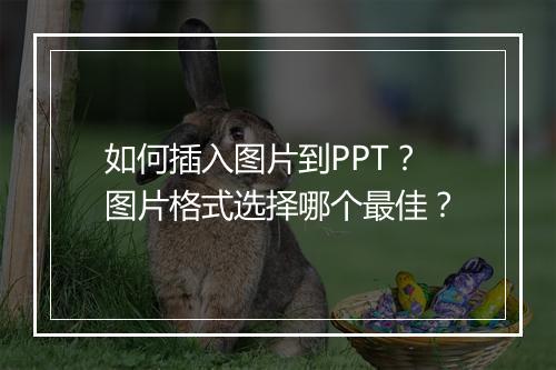 如何插入图片到PPT？图片格式选择哪个最佳？