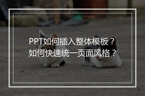 PPT如何插入整体模板？如何快速统一页面风格？