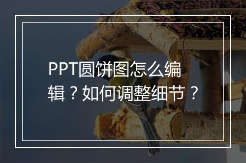 PPT圆饼图怎么编辑？如何调整细节？