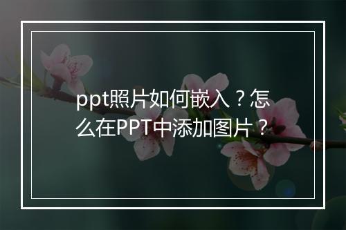 ppt照片如何嵌入？怎么在PPT中添加图片？