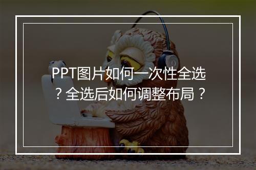 PPT图片如何一次性全选？全选后如何调整布局？