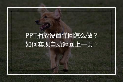 PPT播放设置弹回怎么做？如何实现自动返回上一页？