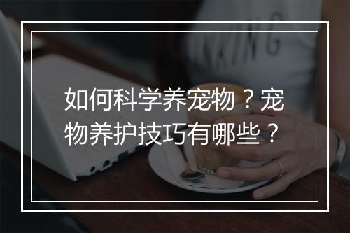 如何科学养宠物?宠物养护技巧有哪些?