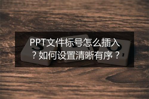 PPT文件标号怎么插入？如何设置清晰有序？