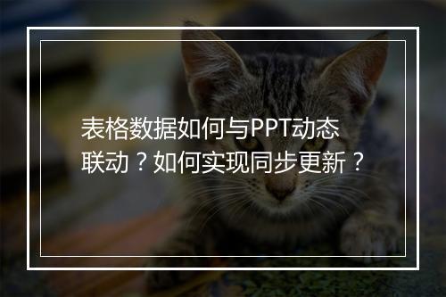 表格数据如何与PPT动态联动？如何实现同步更新？